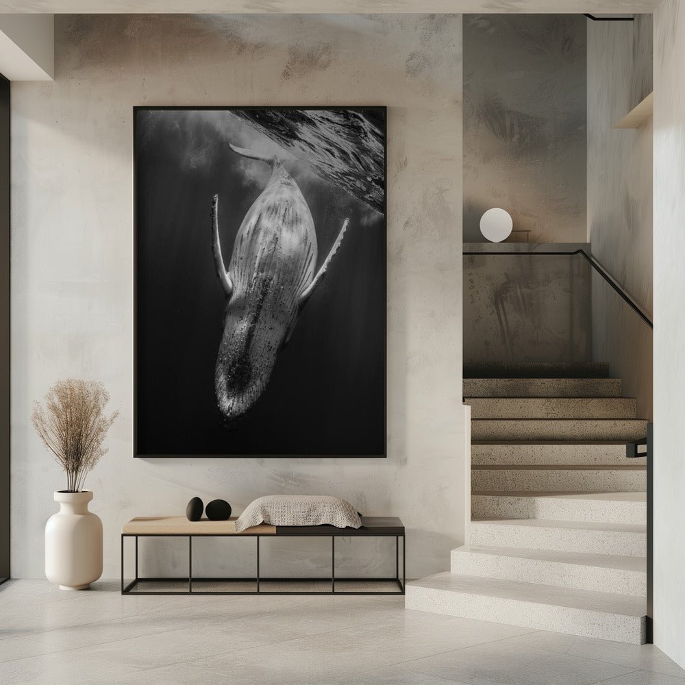 Black & Whale Poster